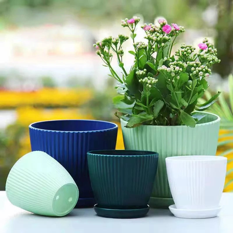 Small Indoor Flower Pot with Drainage Tray | Round Plastic Planter for Succulents, Herbs & Houseplants | Desk & Home Decor
