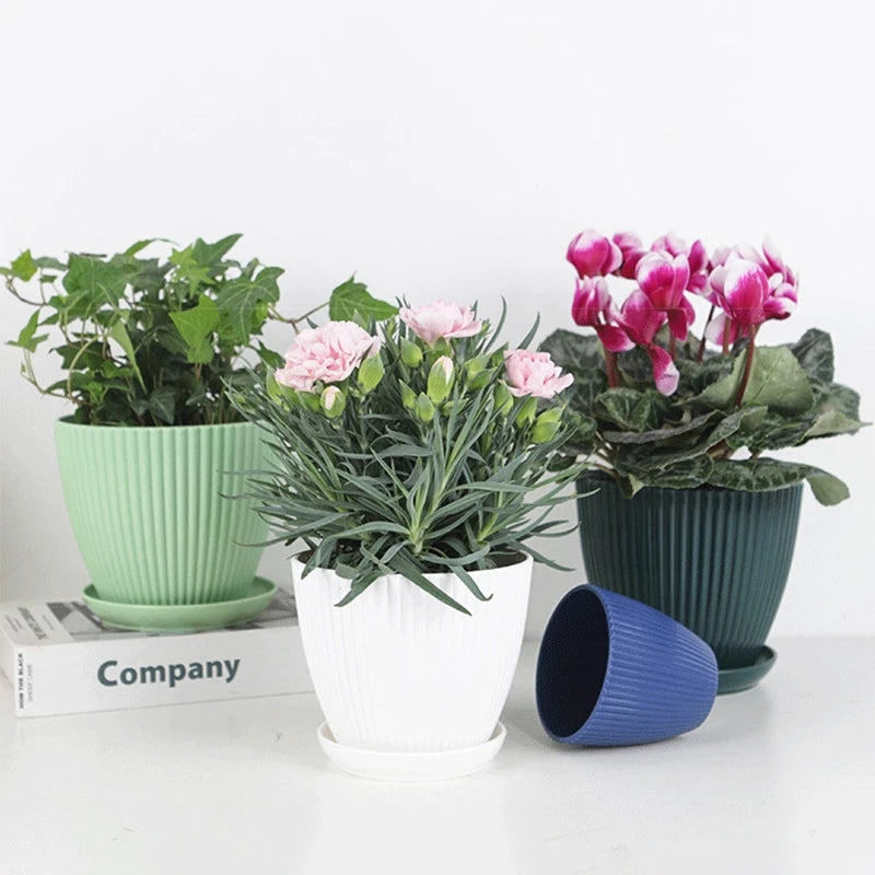 Small Indoor Flower Pot with Drainage Tray | Round Plastic Planter for Succulents, Herbs & Houseplants | Desk & Home Decor