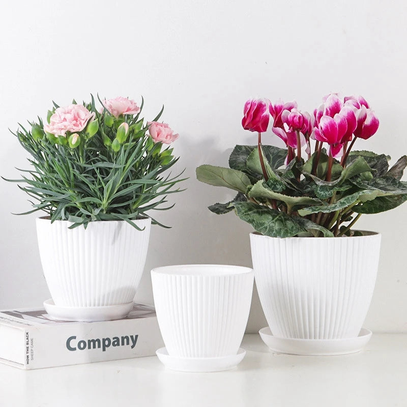 Small Indoor Flower Pot with Drainage Tray | Round Plastic Planter for Succulents, Herbs & Houseplants | Desk & Home Decor