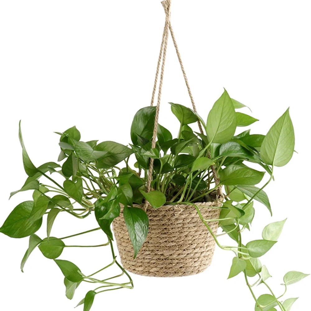 Straw Hanging Basket Flower Planter | Handwoven Twine Woven Plant Basket for Indoor & Outdoor Home Decor