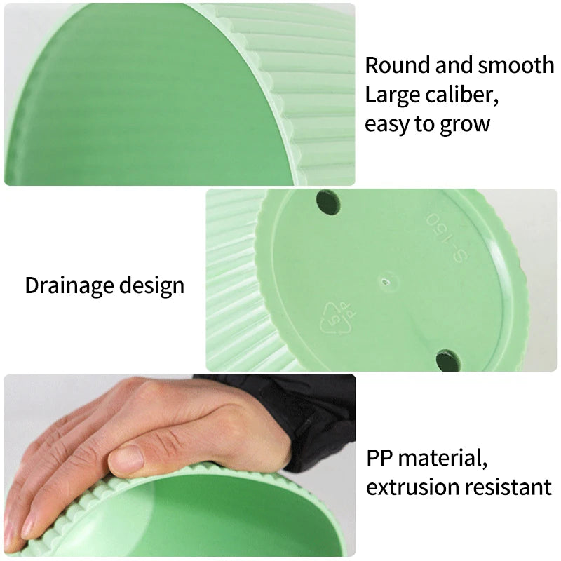 Small Indoor Flower Pot with Drainage Tray | Round Plastic Planter for Succulents, Herbs & Houseplants | Desk & Home Decor