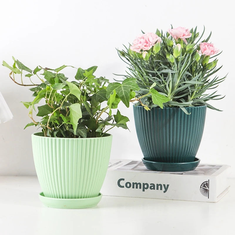 Small Indoor Flower Pot with Drainage Tray | Round Plastic Planter for Succulents, Herbs & Houseplants | Desk & Home Decor