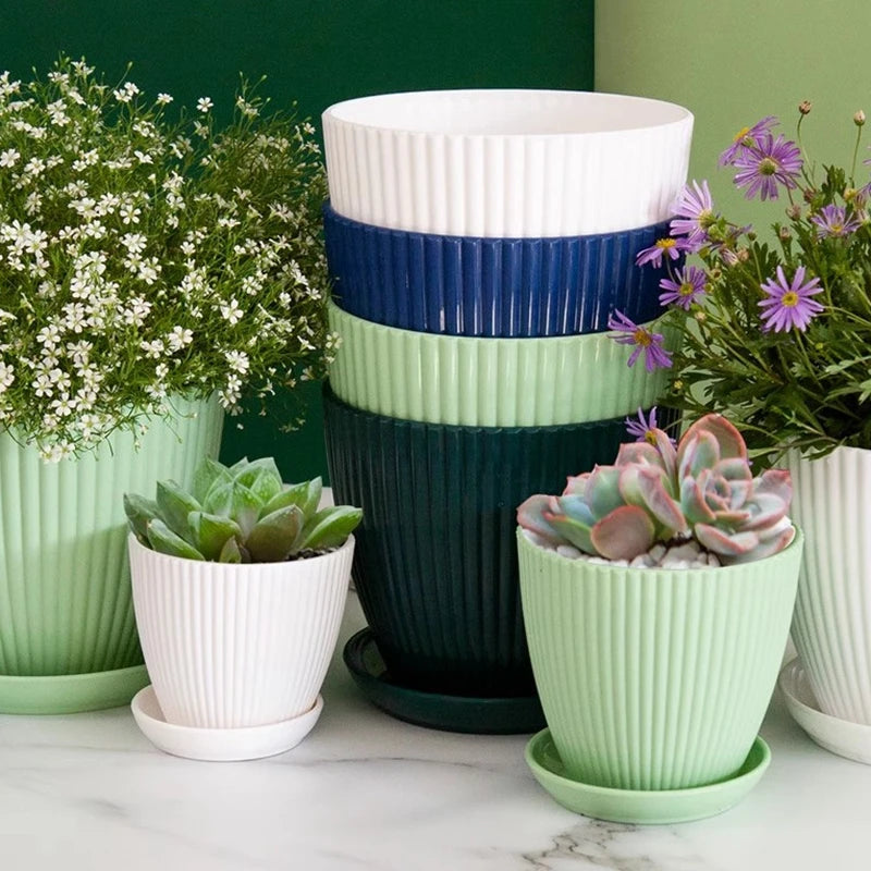 Small Indoor Flower Pot with Drainage Tray | Round Plastic Planter for Succulents, Herbs & Houseplants | Desk & Home Decor
