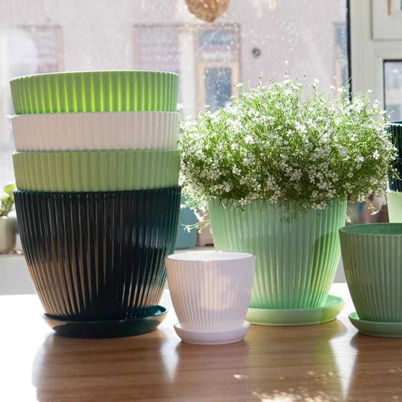 Small Indoor Flower Pot with Drainage Tray | Round Plastic Planter for Succulents, Herbs & Houseplants | Desk & Home Decor